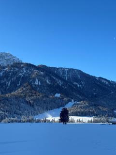 Hotel Savoia - Toblach - 1