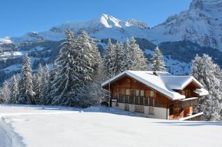 Chalet Meiseli - Adelboden - 0