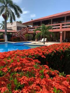 Hotel La Roca del Mar - Puntarenas - 4