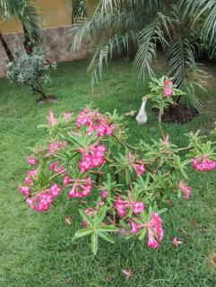 Casa de Mainha - Camaçari - 7