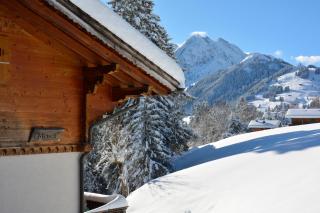 Chalet Meiseli - Adelboden - 8