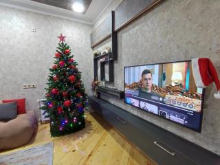 Entire house in Baku - Baku - 8