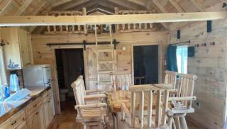 Black Bear Cabin - 6