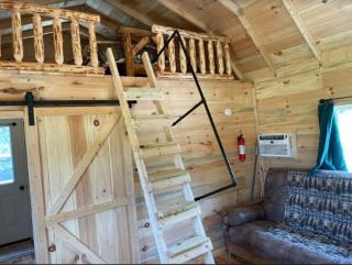 Black Bear Cabin - 5