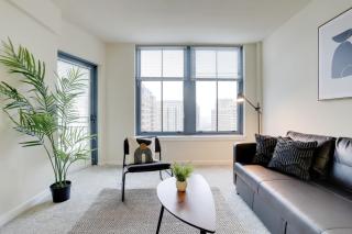Beautiful 1 Bedroom Apartment at Pentagon City - Arlington - 3