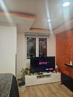 Apartman Zlatar-Vasiljevic - Nova Varoš - 7