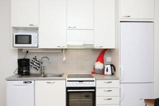 Arctic Holiday Suite - Rovaniemi - 8