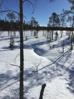 Arctic Holiday Suite - Rovaniemi - 6