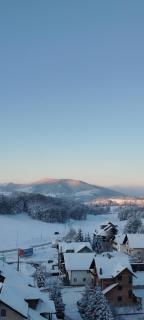 Apartman Magicna jutra Kalman Zlatibor - Zlatibor - 7