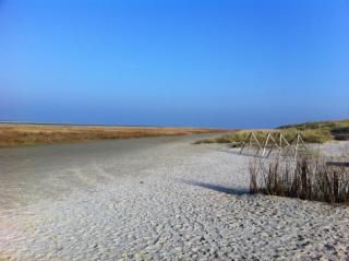 Dune Bep - Schiermonnikoog - 1