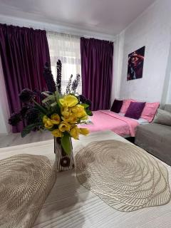 1 комнатная студия, около ТРЦ Мега - 0