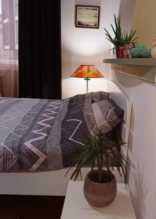 Our nest in the heart of Skopje - Skopje - 7