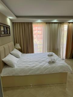 Orbi Palace 303 - Bakuriani - 5