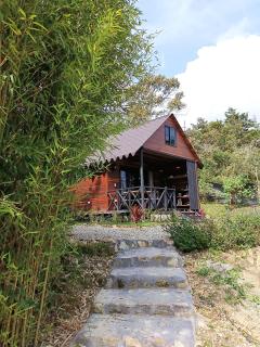 Cabaña Momotus II - 9