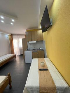 Vila Aleksandra - Sokobanja - 8