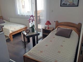 Vila Aleksandra - Sokobanja - 3