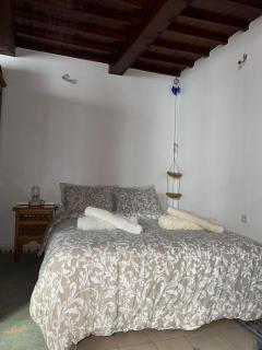 zazou - Essaouira - 5