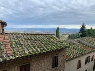 Leone - San Gimignano - 5