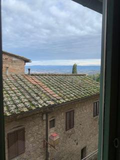 Leone - San Gimignano - 1