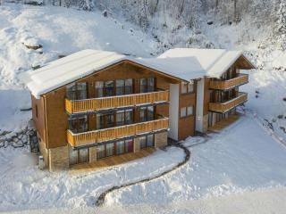 Charming chalet in Salzburg on the ski-slope - Wagrain - 0