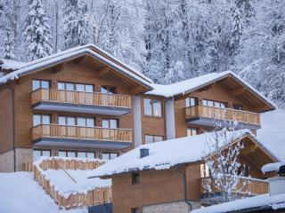 Charming chalet in Salzburg on the ski-slope - Wagrain - 3