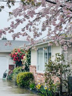 Villa Rivarola - Edmonds - 7