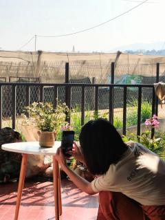Yên Homestay Đơn Dương - Da Lat - 8