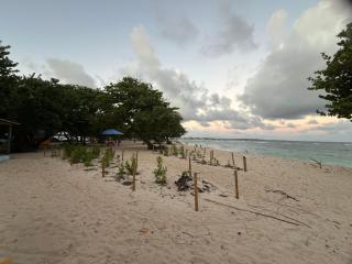 Bercé Par Le COCOTIER Meublé 2 chambres - 4