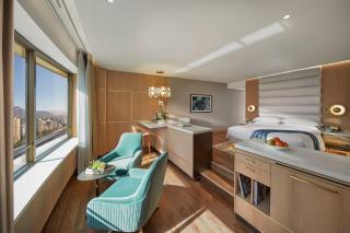 Mandarin Oriental, Santiago - 9