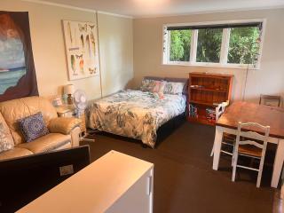 Lower level unit in the backyard, past the gate on the right of house - Auckland - 8