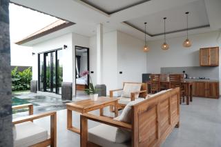Dtwince Ubud Villa - Tegalalang - 3