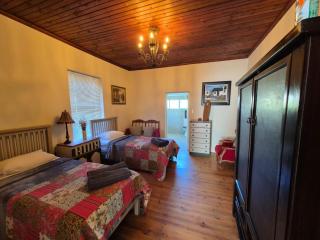 Authentic Farmstyle Stay in Aloe Valley - Albertinia - 2