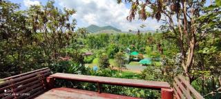 Phufatara Resort - Ban Huai Chomphu - 6