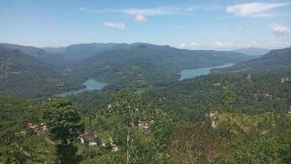 Tea Flower Adventure - 9