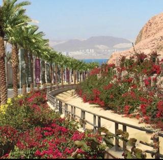 Alraha village-aqaba قرية الراحة- مرسى زايد -العقبة - Aqaba - 7
