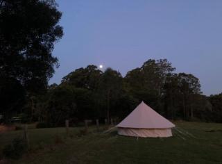 Relaxing bell tent in northern NSW - Tabulam - 5