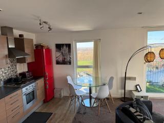 Walking Distance from Etihad and CoOp Arena Parking free - Manchester - 8