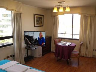 Costanera Center Apartment - Santiago - 9