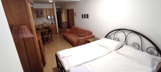 Studio apartman Tatran A-29 - Donovaly - 9