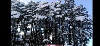 Dalhousie bed and breakfast - Dalhousie - 1