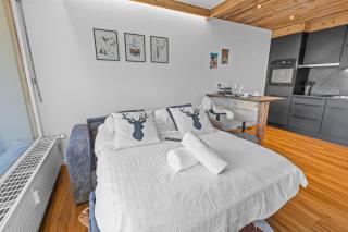 Studio chalet rénové au centre de la ville - Crans-Montana - 3