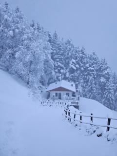 Alone in Chalet with view on Dolomites - Villandro - 9