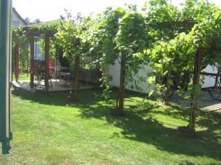 Spitzenkemenate - Burgneudorf - 8
