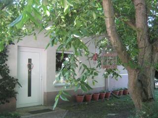 Spitzenkemenate - Burgneudorf - 9