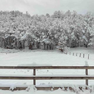 Jahorina Green Chalet - Pale - 1