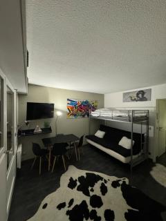 Charmand studio auron - Saint-Étienne-de-Tinée - 9