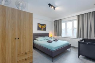 Ostend Center Luxury Top Floor Apartment with Free Parking - Oostende - 1