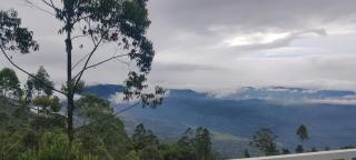 Misty Cabin - Devikolam - 2