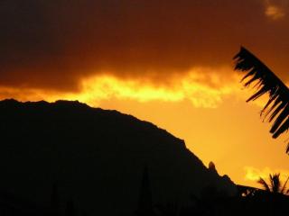 Hale Manulele near Hanalei - Princeville - 3