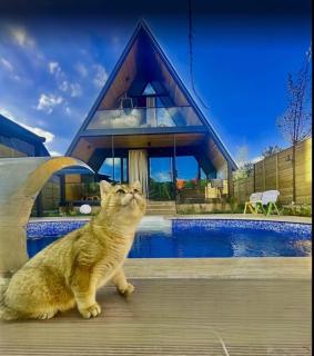 7Sense Nature Resort - Sapanca - 4